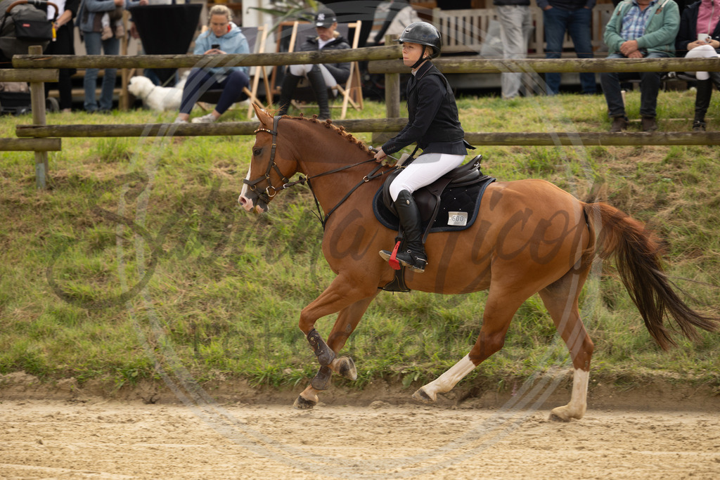 994A7767 | sabrinanicolaifotografie - Realisiert mit Pictrs.com