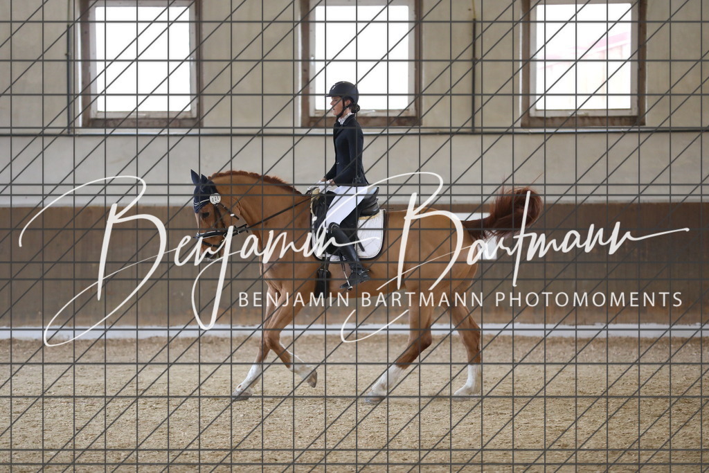 AZ2A7214 | Benjamin Bartmann Photomoments