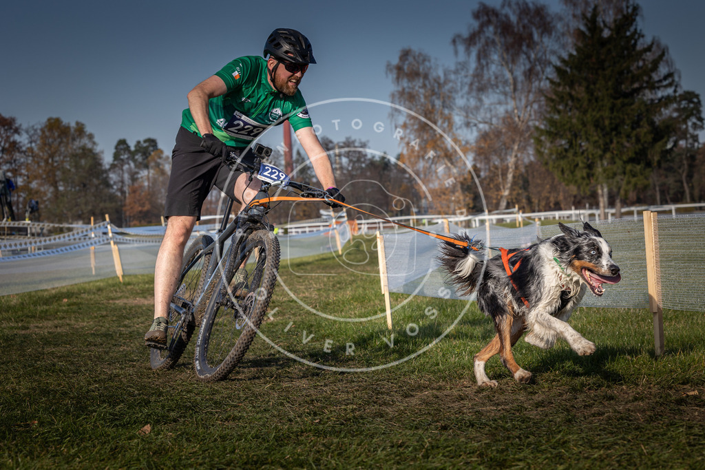 CaniXpix_0L8A7925 | Hundefotografie, Tierfotograf, Pfotenfotografie, Fotoshooting Hund, Hunde Portrait, Hundesport, Hundeportraits, Heideshooting, Hunde, Sportfotograf, Hundefotograf, Turnierhundsport, THS,  - Realisiert mit Pictrs.com
