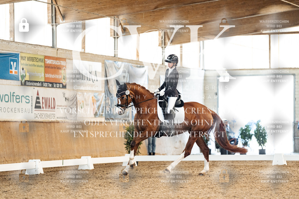 CK909045 | Turnierfotografie Pferdefotografie Trier Rheinland-Pfalz Pferdesport Reitsport Tierfotografie Sportfotografie Pferdevideo Pferdevideografie Equestrianvideography equestrianphotography  - Realisiert mit Pictrs.com