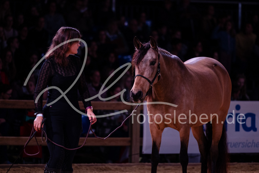 846A7637 | fotosleben - Realisiert mit Pictrs.com