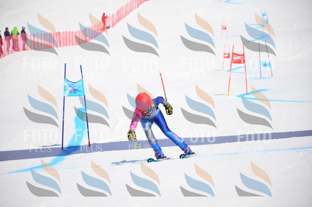 VR4_0038 | holidayphoto