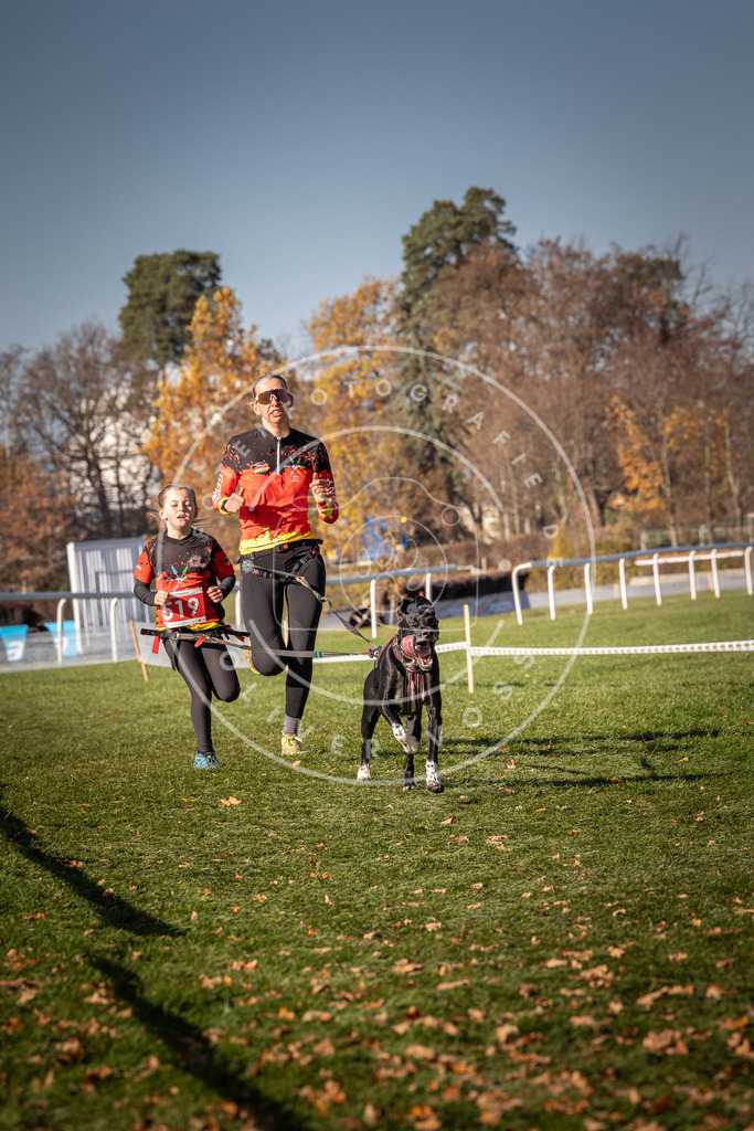 CaniXpix_0L8A7043 | Hundefotografie, Tierfotograf, Pfotenfotografie, Fotoshooting Hund, Hunde Portrait, Hundesport, Hundeportraits, Heideshooting, Hunde, Sportfotograf, Hundefotograf, Turnierhundsport, THS,  - Realisiert mit Pictrs.com