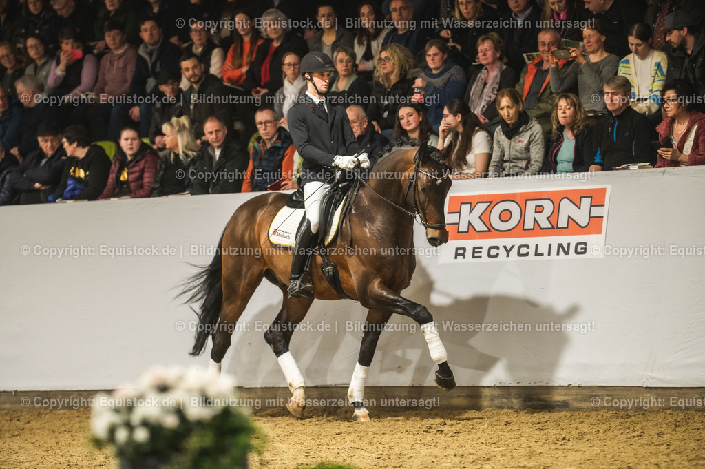 20240302_Hengstvorstellung_Marbach_TOMsPiC_1200 | equistock