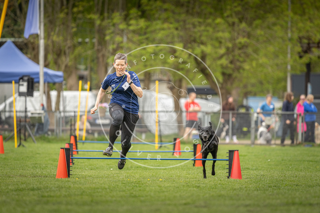 Pfotenfotografie_DV3A8525 | Hundefotografie, Tierfotograf, Pfotenfotografie, Fotoshooting Hund, Hunde Portrait, Hundesport, Hundeportraits, Heideshooting, Hunde, Sportfotograf, Hundefotograf, Turnierhundsport, THS,  - Realisiert mit Pictrs.com