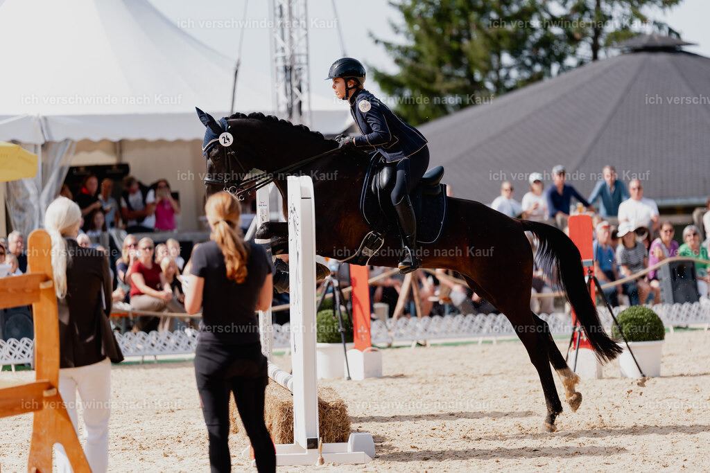 Leonie24_FHC2025-46 | working equitationturnier fotograf videograf stoibphotography marixx film working equitation deutschland reitsport turnierfotografie eventfotografie equestrian events