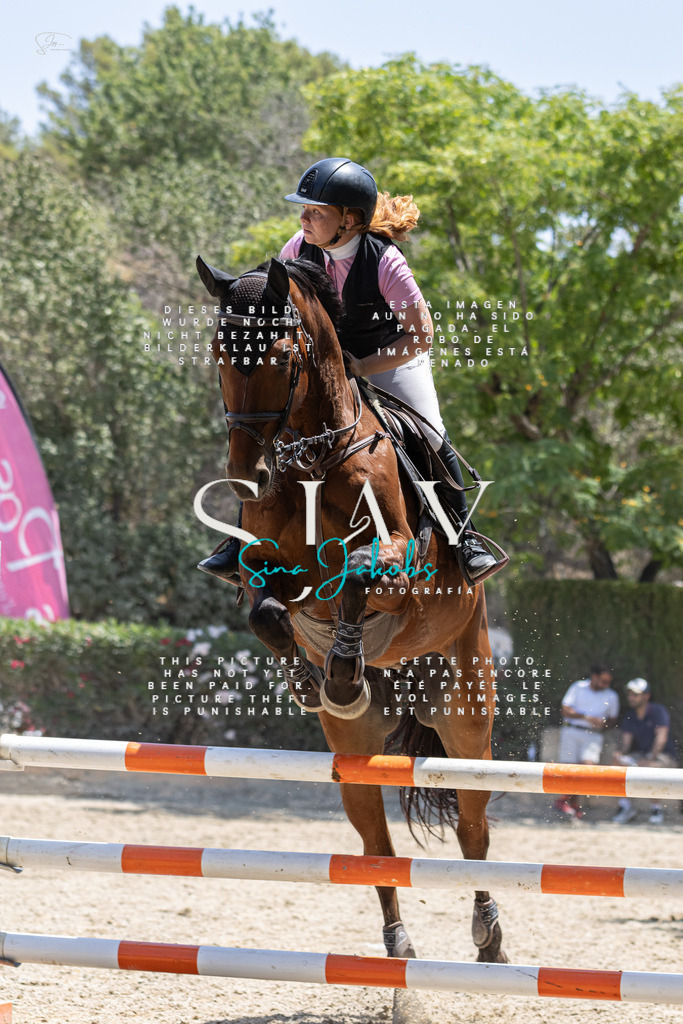 IMG_6690 | s-jay-photography - Realisiert mit Pictrs.com