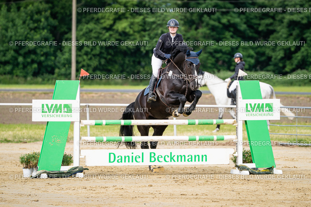 DSC03752 | Pferdegrafie