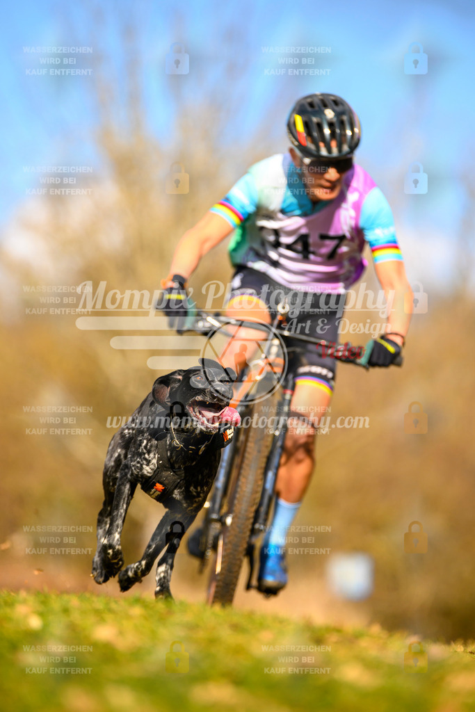 MompixPhotography_10Schwabentrail2026_SO_Bike-21 | PayLife