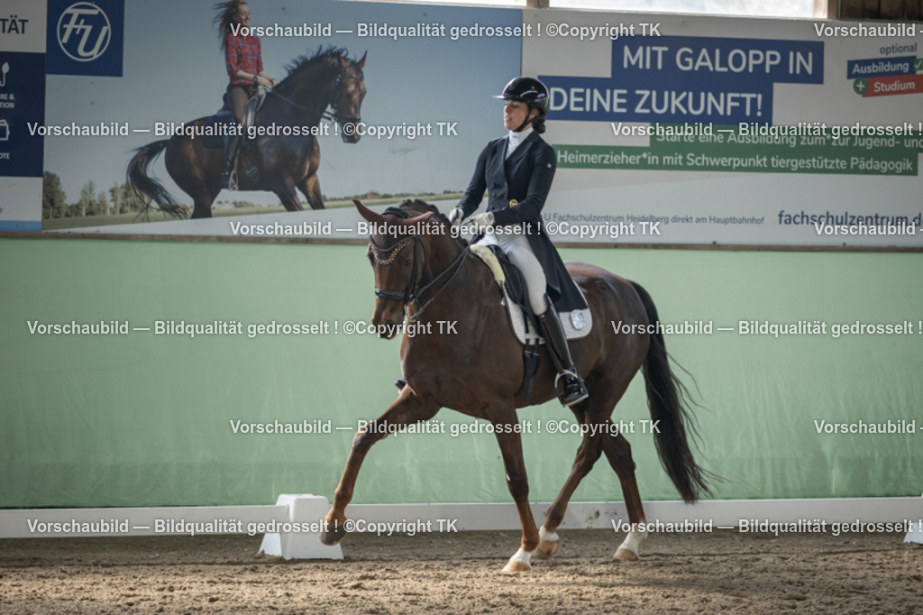 _D5A4895 | Emotionale Pferde- & People-Fotografie rund um Heidelberg, Leimen & Umgebung. Natürliche Fotos von Pferd, Mensch & Familie. Jetzt Termin sichern!