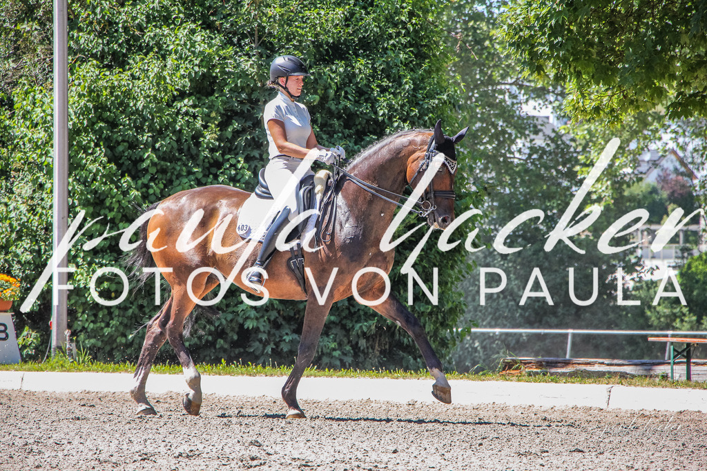 IMG_1442 | Erleben Sie dynamische Sport- und emotionale Tierfotografie in Süddeutschland mit Fotos von Paula. Spezialisiert auf Pferde- und Hundefotografie sowie Sportevents. Kontaktieren Sie mich für einzigartige und ausdrucksstarke Bilder Ihrer besonderen Momente.
