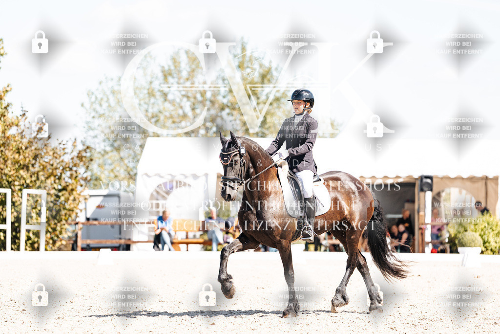 CK904022 | Turnierfotografie Pferdefotografie Trier Rheinland-Pfalz Pferdesport Reitsport Tierfotografie Sportfotografie Pferdevideo Pferdevideografie Equestrianvideography equestrianphotography  - Realisiert mit Pictrs.com