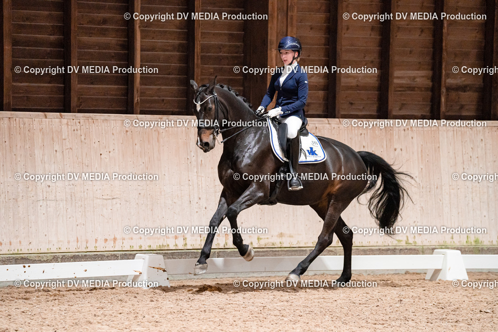 Dressur Tag 3-695 | dv-media-shop - Realisiert mit Pictrs.com