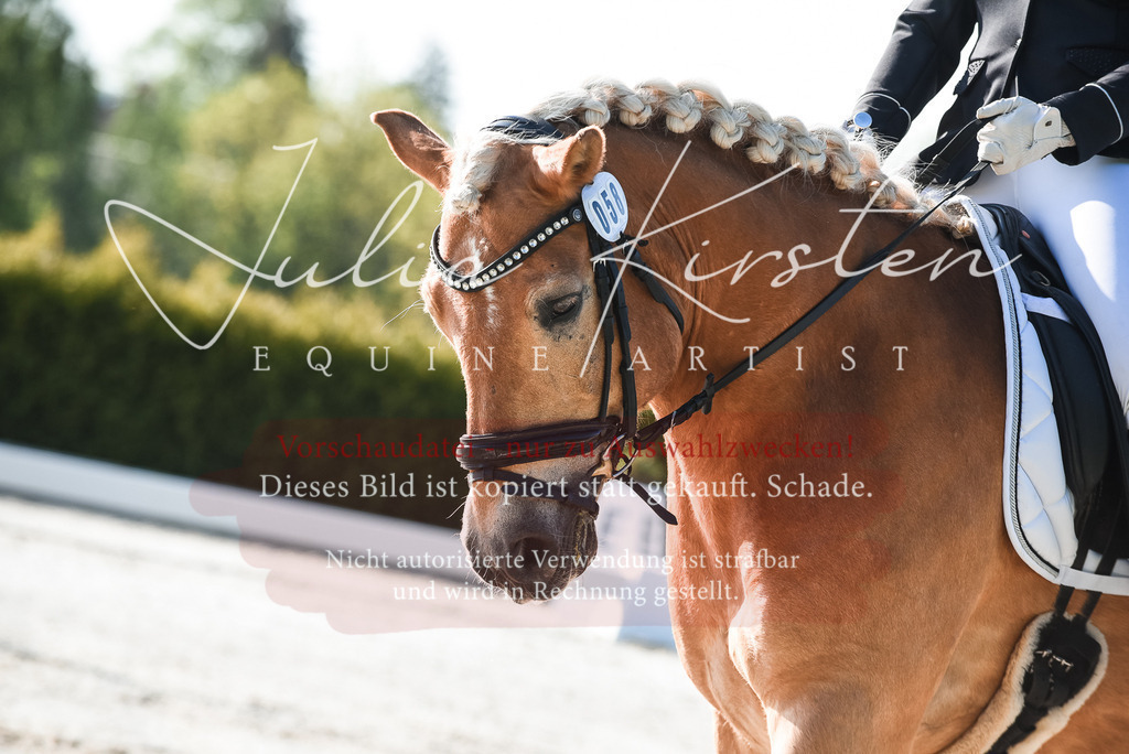 20230518_JK-Röhrsdorf-09-0349 | Pferde- und Turnierfotografie in Westsachsen. Pferdeportraits, Auftragszeichnungen und intuitive Kunst.