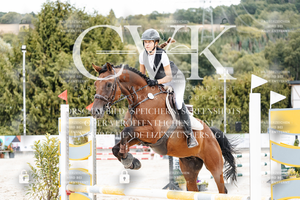 CK908524 | Turnierfotografie Pferdefotografie Trier Rheinland-Pfalz Pferdesport Reitsport Tierfotografie Sportfotografie Pferdevideo Pferdevideografie Equestrianvideography equestrianphotography  - Realisiert mit Pictrs.com