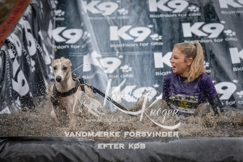 1155_ZZ93896 | kk-dogfotos