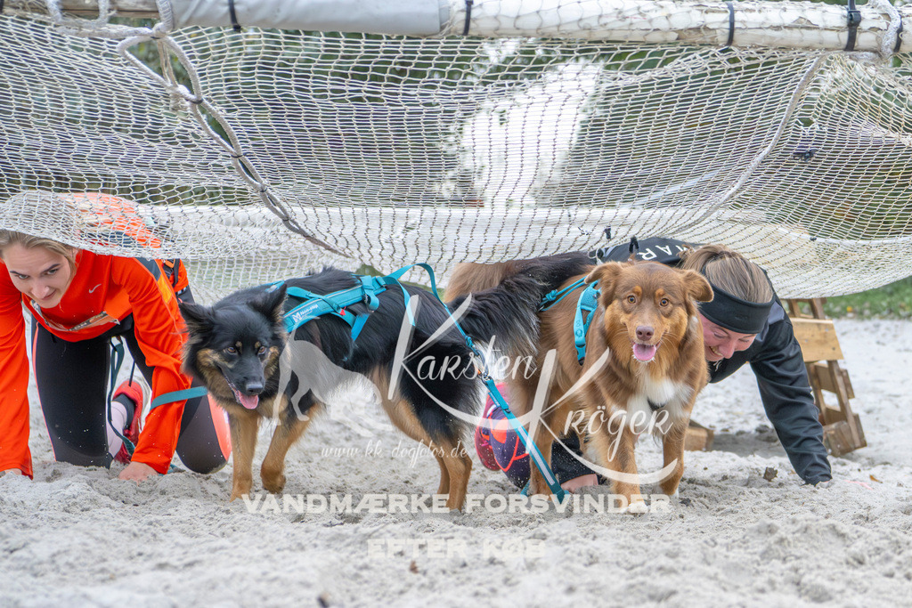 1123_ZZ96355 | kk-dogfotos