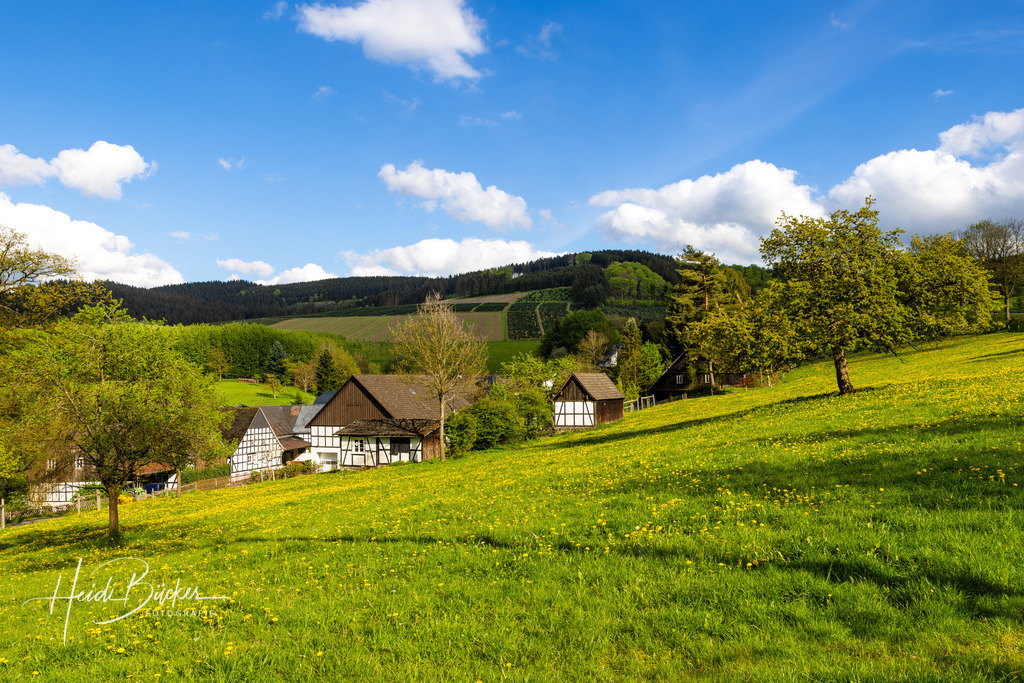 April | Bilder und Impressionen zu jeder Jahreszeit aus dem Sauerland im Naturpark Sauerland-Rothaargebirge - Realisiert mit Pictrs.com