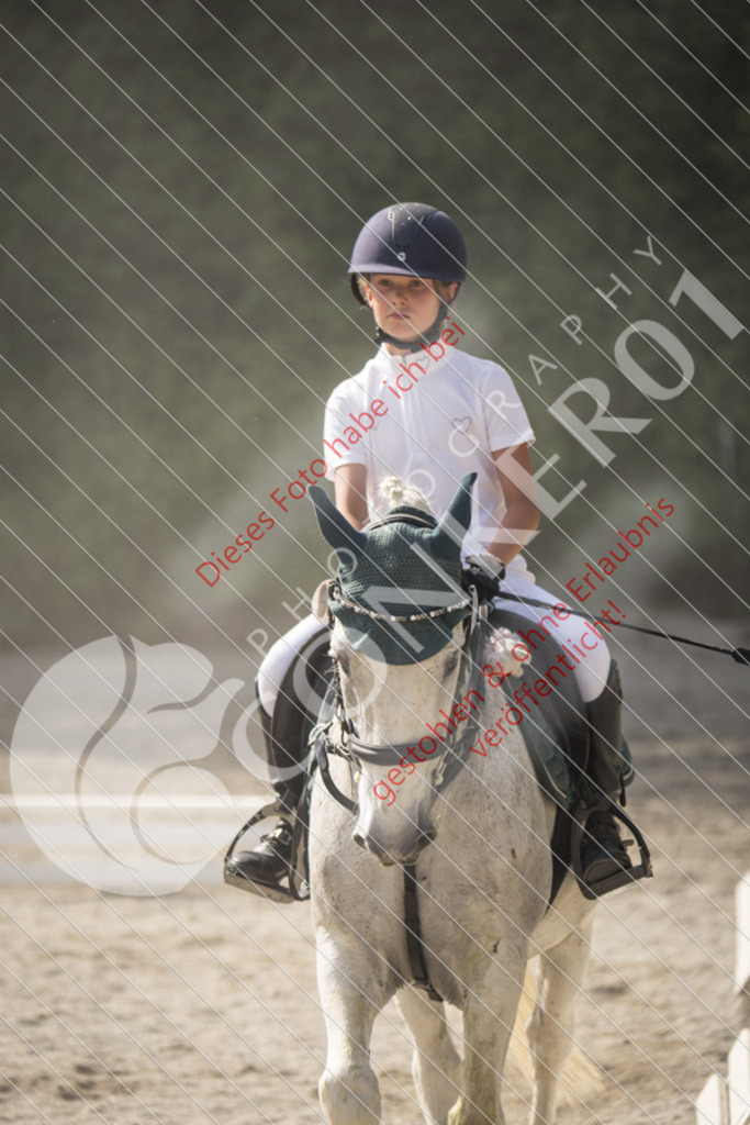 IMG_5791 | Sport-, Event- und Tierfotos in Profiqualität. Einfach auswählen, bestellen und herunterladen. Dein Moment – perfekt festgehalten.
