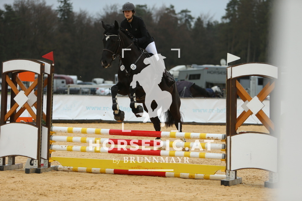 DL2Q1142 | Willkommen bei Brunnmayr - Design & Fotografie – Ihrem Spezialisten für Reitturniere und Pferdeveranstaltungen in Oberösterreich, Salzburg und Bayern! Seit über 17 Jahren sind wir leidenschaftlich dabei.