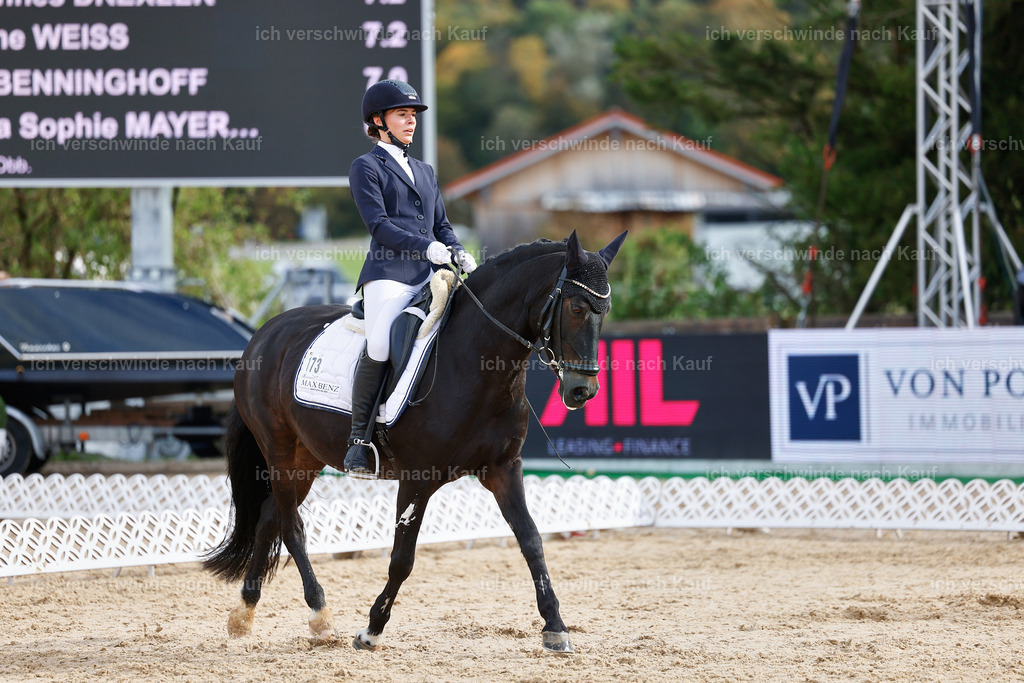 02-173-DRESSUR L_  -StoibPH-4758 | working equitationturnier fotograf videograf stoibphotography marixx film working equitation deutschland reitsport turnierfotografie eventfotografie equestrian events