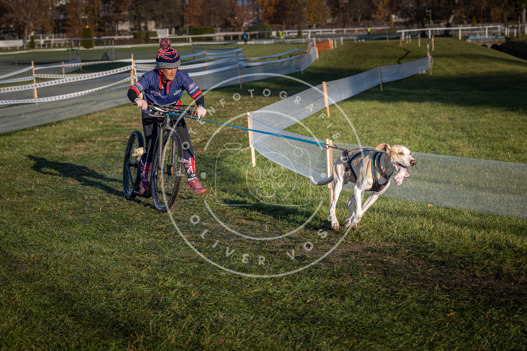 CaniXpix_0L8A3750 | Hundefotografie, Tierfotograf, Pfotenfotografie, Fotoshooting Hund, Hunde Portrait, Hundesport, Hundeportraits, Heideshooting, Hunde, Sportfotograf, Hundefotograf, Turnierhundsport, THS,  - Realisiert mit Pictrs.com