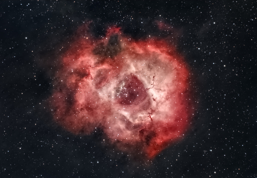 Rosette_Fertig | Fotografie, Photography, Flixography, Felix Mahncke - Realisiert mit Pictrs.com