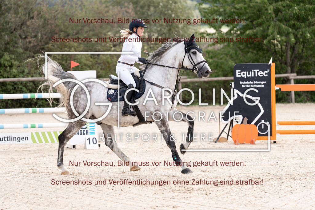 DSC06602 | Springturnier_Teamchallege_Talheim_2026, Clarissa_Schwär, Chouchou_vd_Axelhoeve