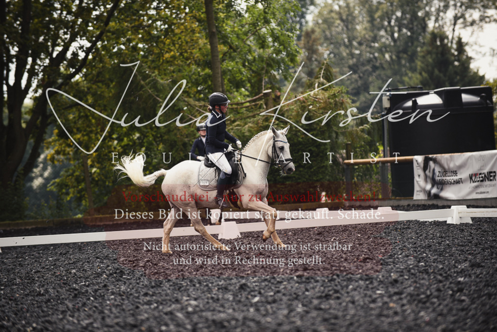 DSC_3912 | Pferde- und Turnierfotografie in Westsachsen. Pferdeportraits, Auftragszeichnungen und intuitive Kunst.