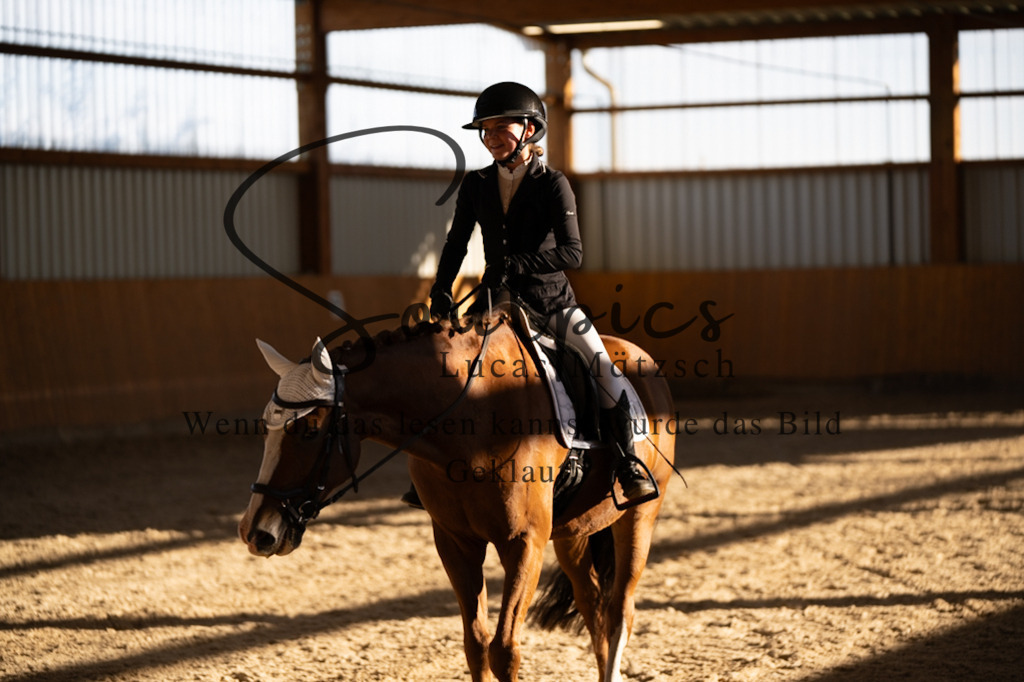 A7V01725 | Turnier/Reitfotograf