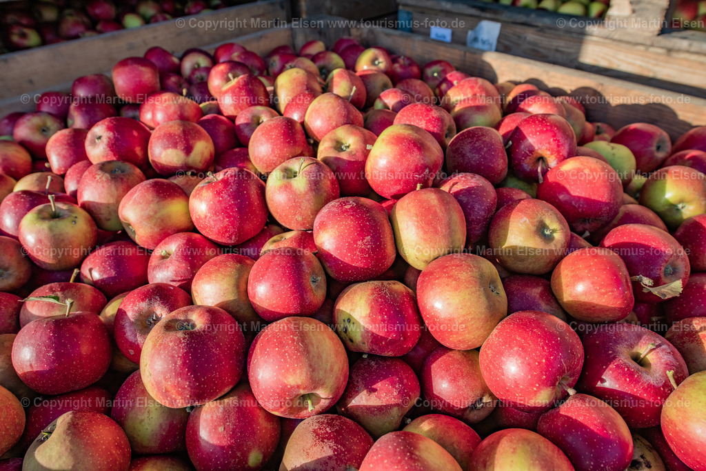 Altes Land Tourismus_ELS_3407061022 | Fotos aus den Touristenorten aus Norddeutschland. - Realisiert mit Pictrs.com