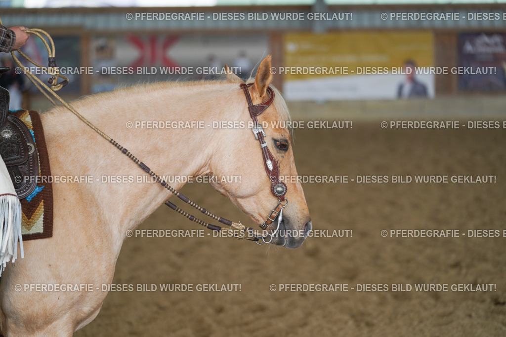 DSC00995 | Pferdegrafie