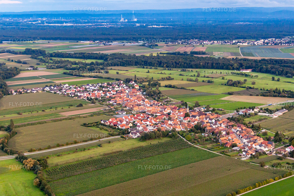 Luftbild: Ortsansicht von Westen in Erlenbach bei Kandel im Bundesland Rheinland-Pfalz in Deutschland. Foto: IMG_71321.jpg vom 27.08.2014 durch Werner Riehm/FLY-FOTO.de