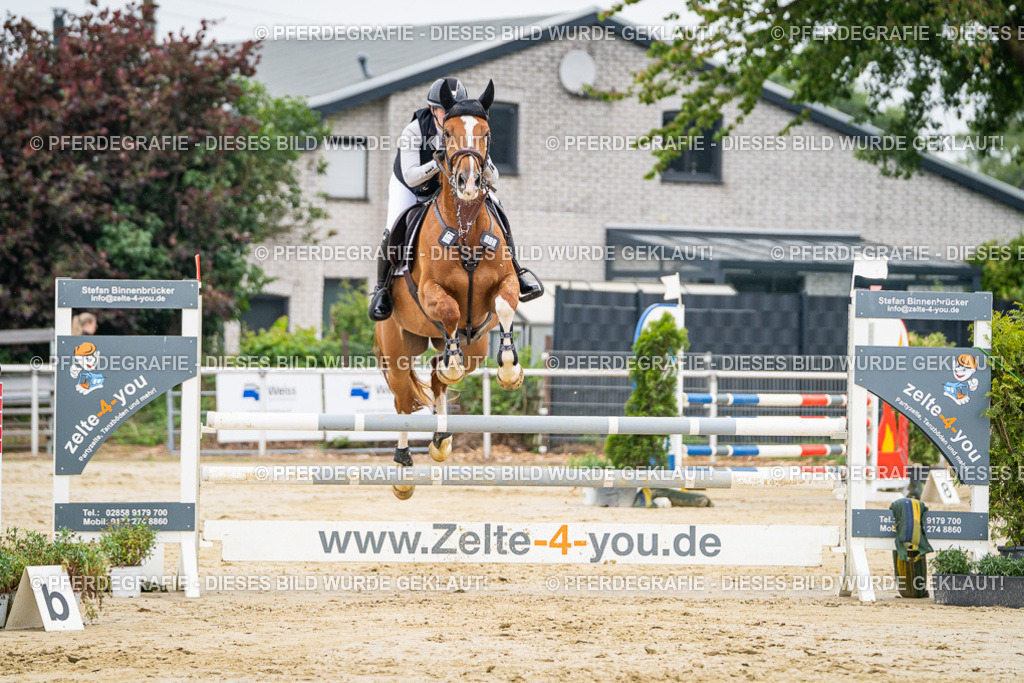 DSC09603 | Pferdegrafie