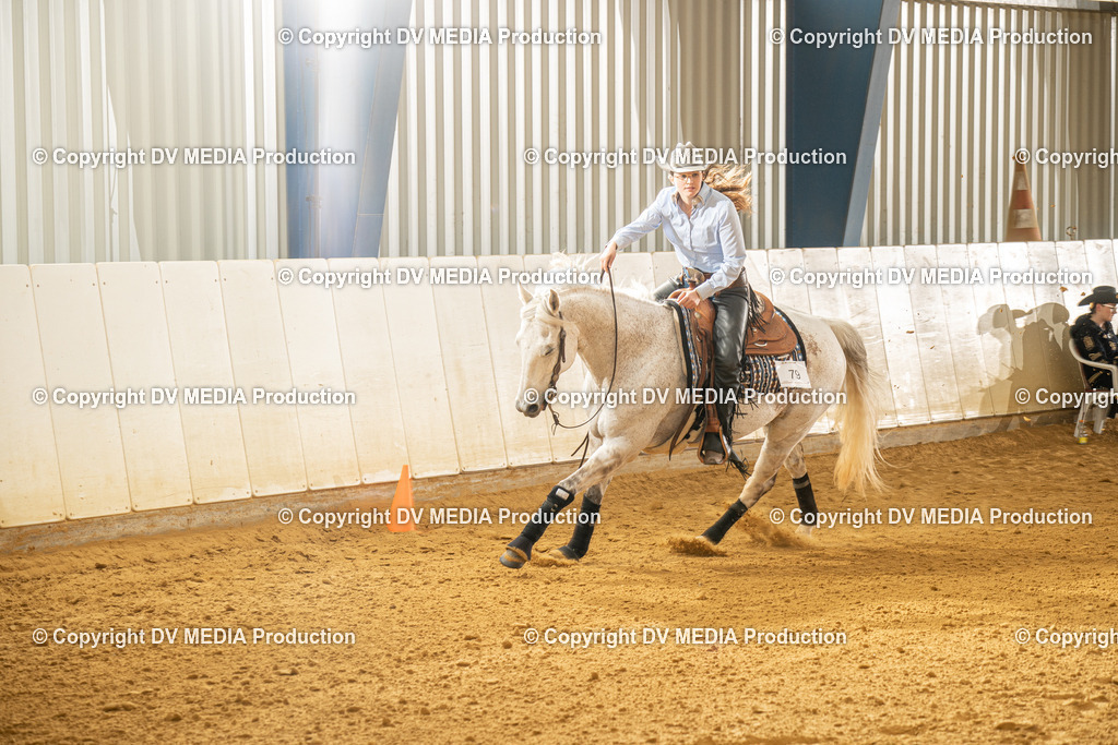 MIT01339 | dv-media-shop - Realisiert mit Pictrs.com