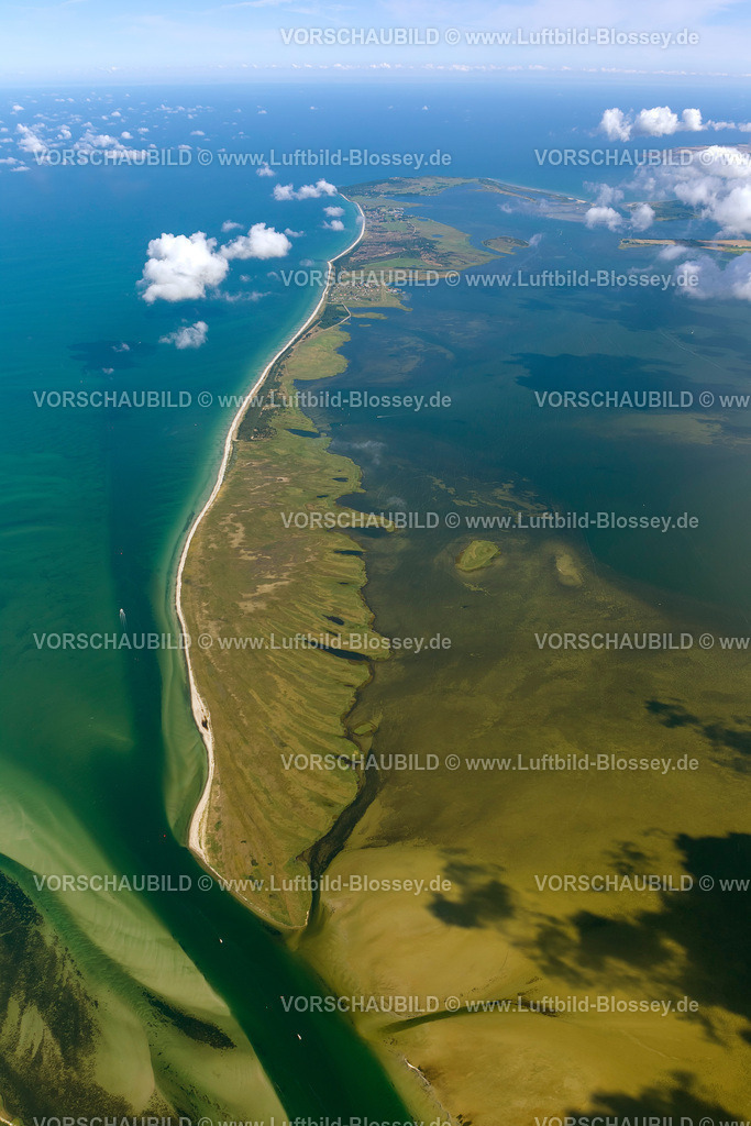 Hiddensee12082782 | Süden der Insel Hiddensee, Naturschutzgebiete Gellen und Gänsewerder, Naturschutzgebiet Dünenheide, Heidelandschaft, Hiddensee, Ostseeinsel, Mecklenburg-Vorpommern, Deutschland, Europa