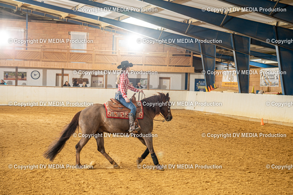 MIT00660 | dv-media-shop - Realisiert mit Pictrs.com