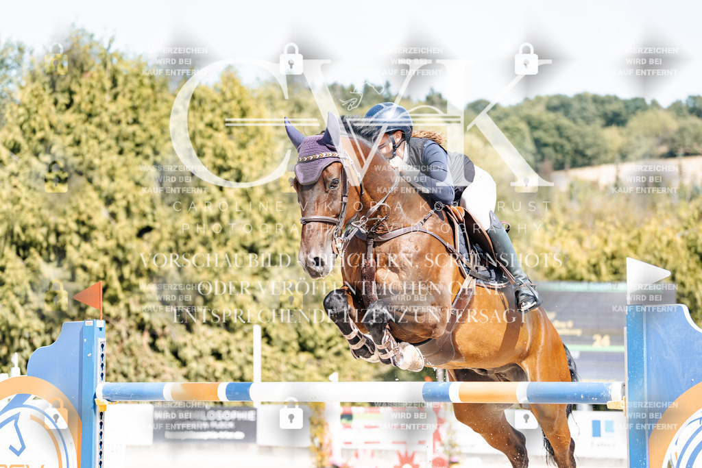 CK905221 | Turnierfotografie Pferdefotografie Trier Rheinland-Pfalz Pferdesport Reitsport Tierfotografie Sportfotografie Pferdevideo Pferdevideografie Equestrianvideography equestrianphotography  - Realisiert mit Pictrs.com