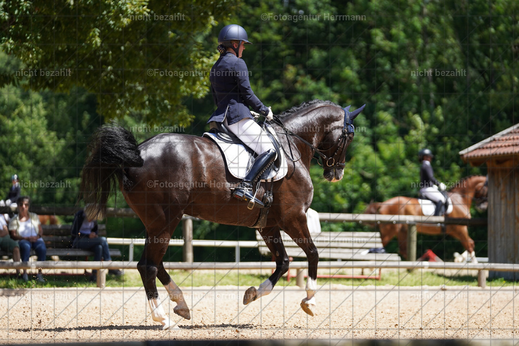20240705-FAH03459 | Turnierbilder von Grafing, Reitsportbilder, Turnierfotos, Turnierfotografen Bayern, Pferdefotograf, Fotoagentur Herrmann
