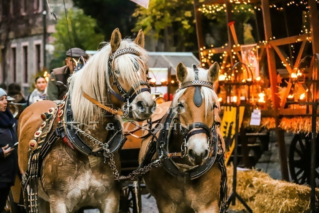 Weihnachtsmarkt Oberwesel 2022-1330 | Der Weihnachtsmarkt in Oberwesel ist jedes Jahr ein Publikumsmagnet. Wir bieten die schönsten Momente auf unseren Fotos. Kostenlos anschauen und online bestellen. - Realisiert mit Pictrs.com