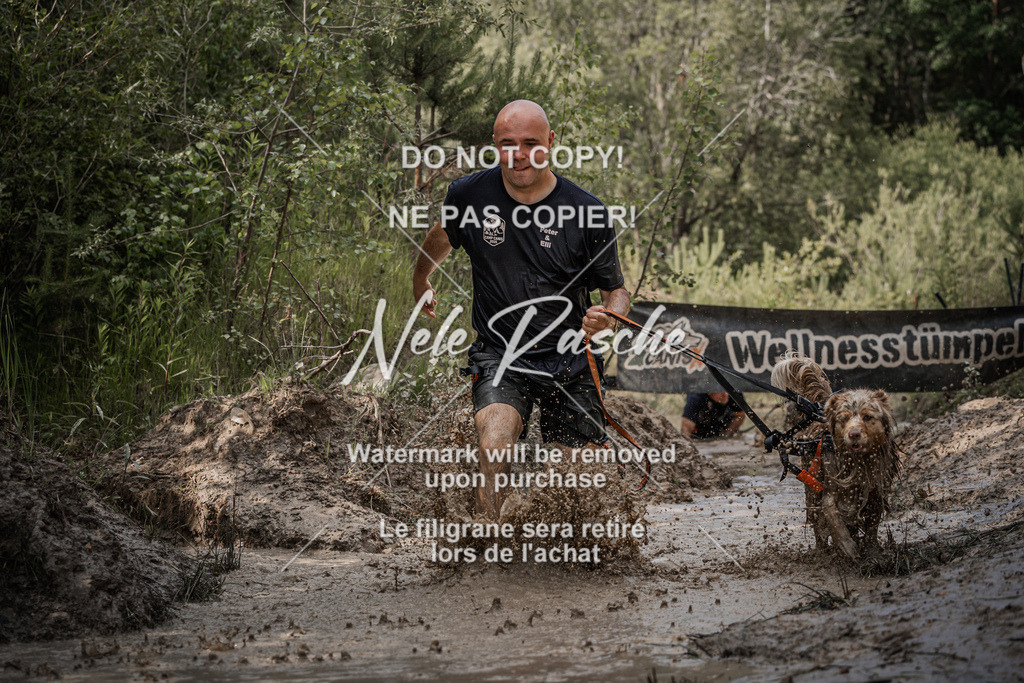nelerasche_Hoope2026_So1600-1630_206 | nelerasche
