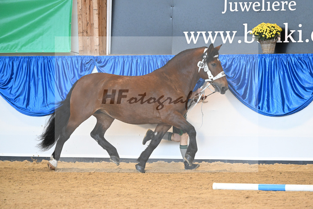 Kat-Nr. 89 Flora_Rasshofer_53220527 | hf-fotografie - Realisiert mit Pictrs.com