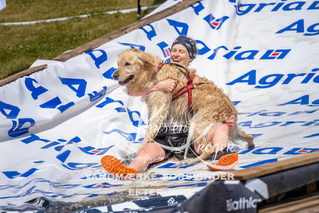 _ZZ976321030 | kk-dogfotos