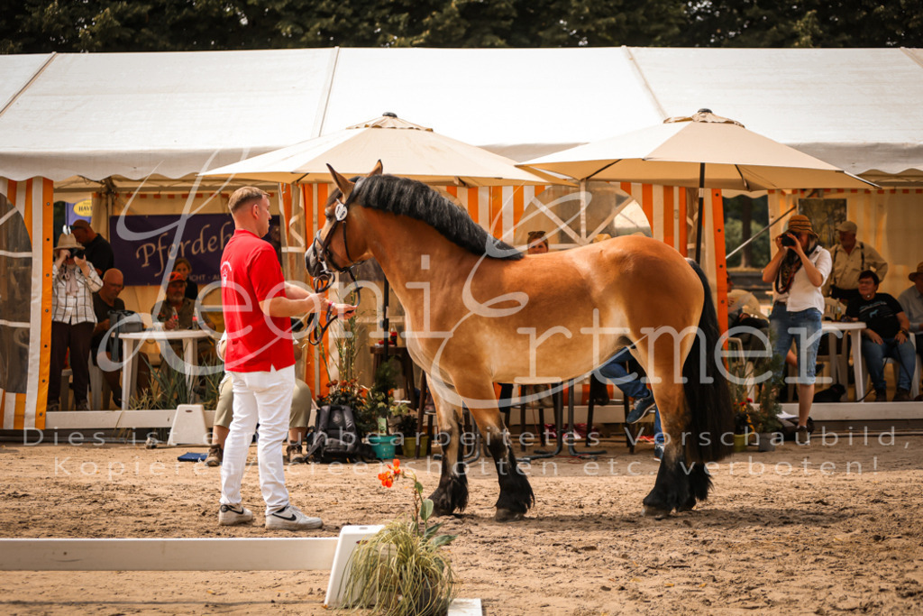 3.Sa00019 | Leoni Ertmer Photography - Realisiert mit Pictrs.com