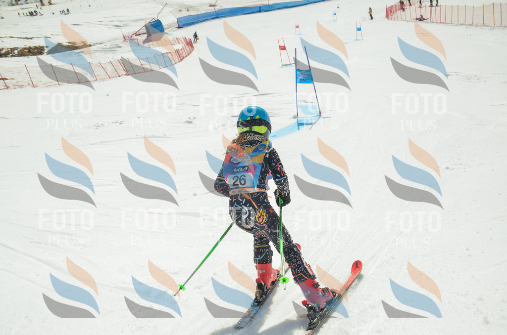 _ELE4819 | holidayphoto