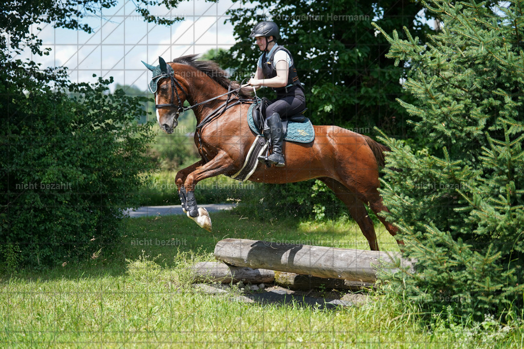 20240622-FAH07070 | Turnierfotografen Bayern, Reitsportbilder aus dem Geländekurs mit Felix Etzel auf dem Gut Waitzacker 2024