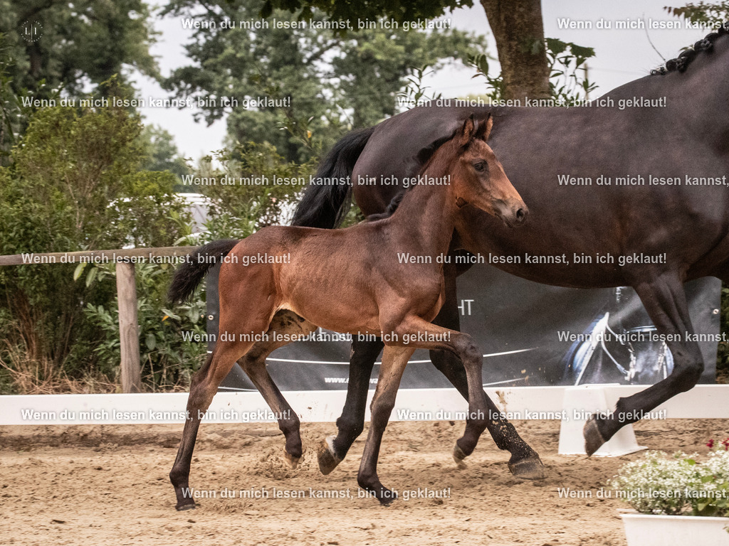 A10I5992 | photographylinaismer - Realisiert mit Pictrs.com