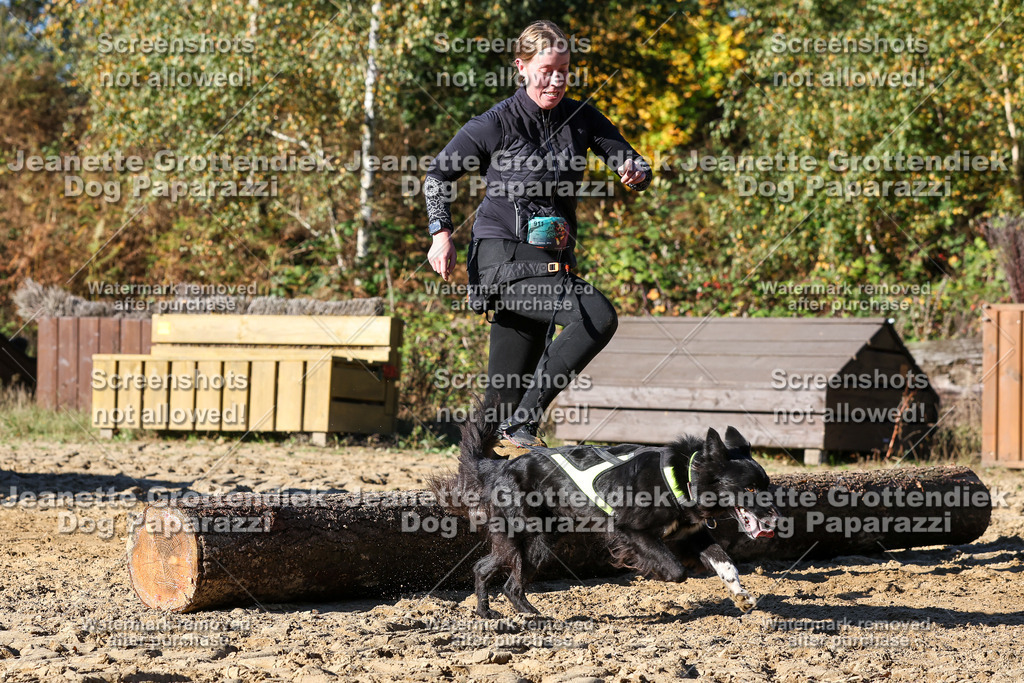 Dog Paparazzi - Strongdog 10-25-2159 | Dog Paparazzi Jeanette Grottendiek Fotografie & Videografie - Realisiert mit Pictrs.com