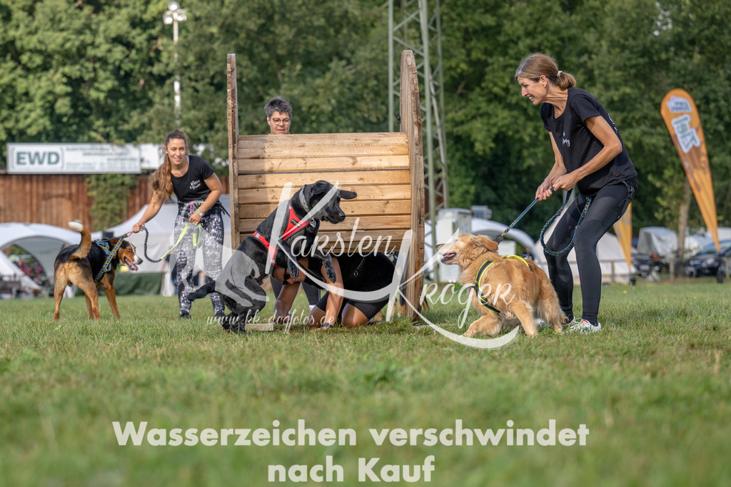 1026_ZZ92306 | kk-dogfotos