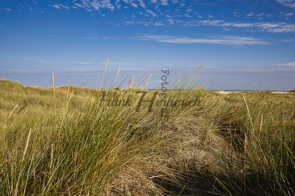 St. Peter Ording | St. Peter Ording - Realisiert mit Pictrs.com